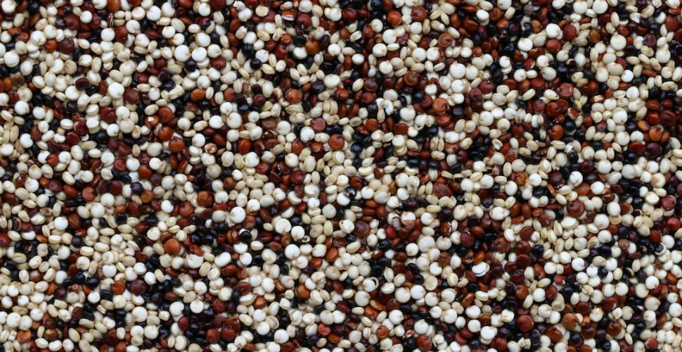 Quinoa: Een Supergezonde Bron van Proteïnes 13 Quinoa: Een Supergezonde Bron van Proteïnes