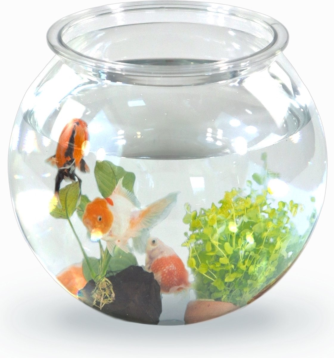 Mobiclinic Nemo - Vissenkom - Aquarium - 4L - Rond glas - Transparant -...