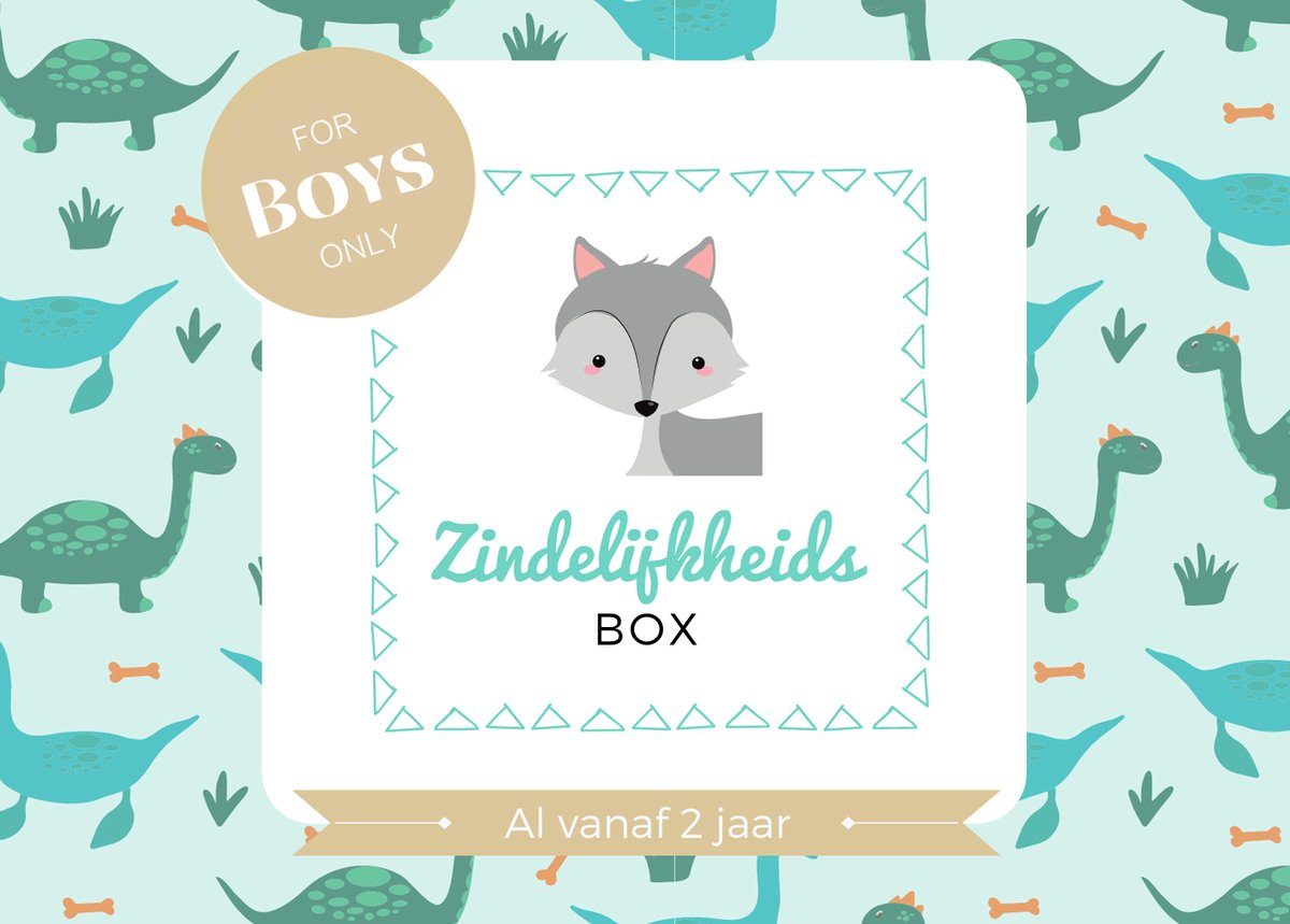 De 5 beste zindelijkheidsboxen 1 Zindelijkheidsbox - Jongen editie - Zindelijkheidstraining kind - vanaf 2 jaar - incl beloningssysteem - Jouw peuter zelfstandig naar het potje / wc