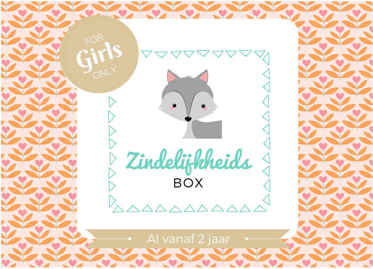 De 5 beste zindelijkheidsboxen 2 Zindelijkheidsbox - Meisje editie - Zindelijkheidstraining kind - vanaf 2 jaar - incl beloningssysteem - Jouw peuter zelfstandig naar het potje / wc
